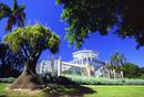 The Palm house, Adelaide, 1/4